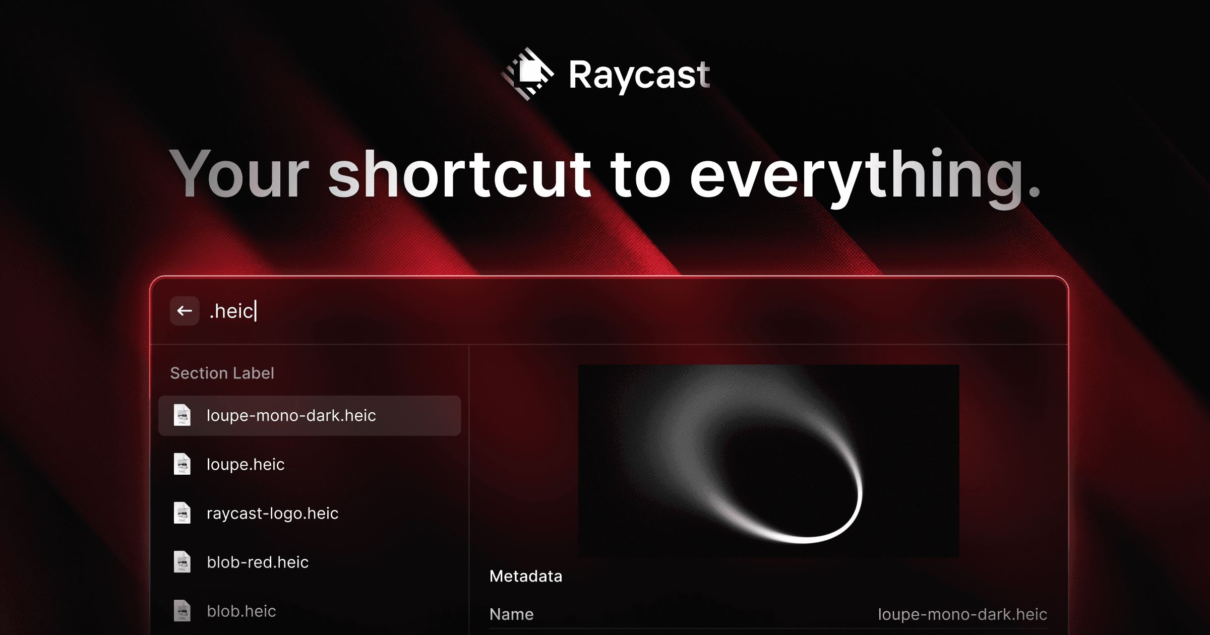 Raycast app icon